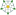 Yorkshire rose icon